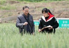 嘉陵江干一田翁 麦实丰满浪千沉