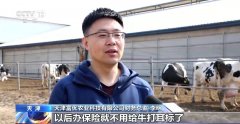 “牛脸识别”帮力农业安全 财产成长无效率更有