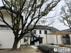新春走下层丨一座江心岛的村落复兴新图景